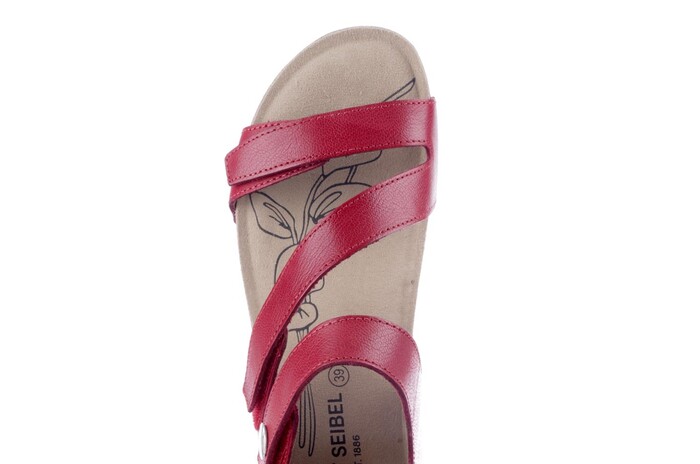 Seibel rood 78519 433.60.007  Bild