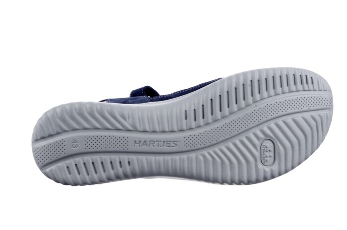 Hartjes blauw 132.1113  Bild