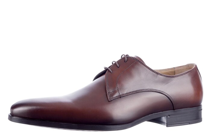 Giorgio bruin 3820261 Bild