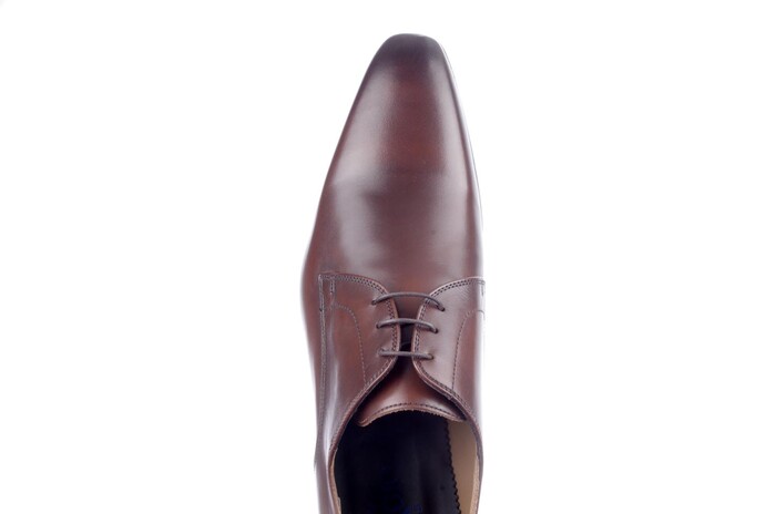 Giorgio bruin 3820261 Bild