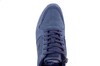 Seibel blauw 46250 thumbnail