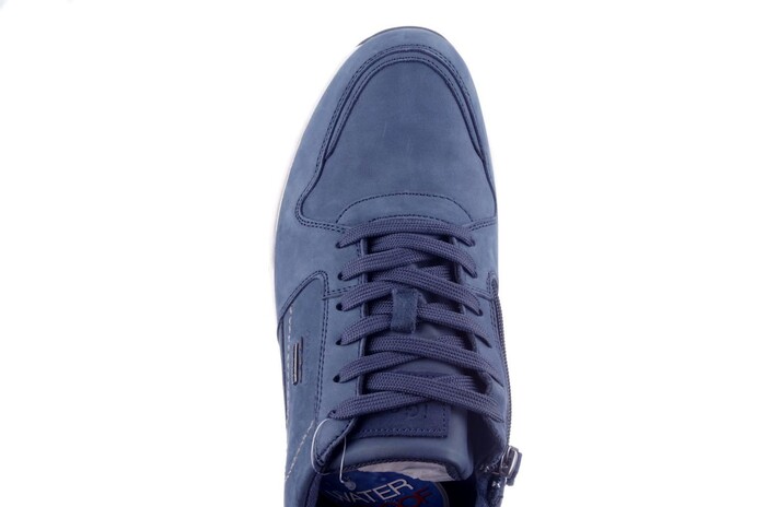Seibel blauw 46250 Bild