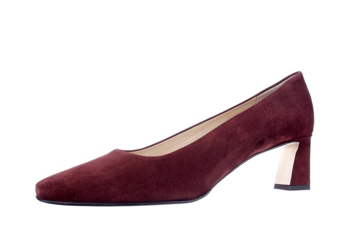 Brunate bruin 51376 Bild