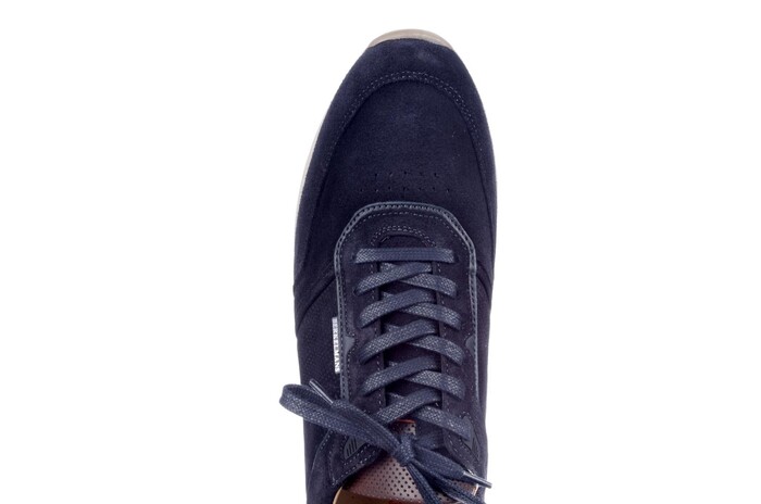 Berkelmans blauw Hondo 252023001 Bild