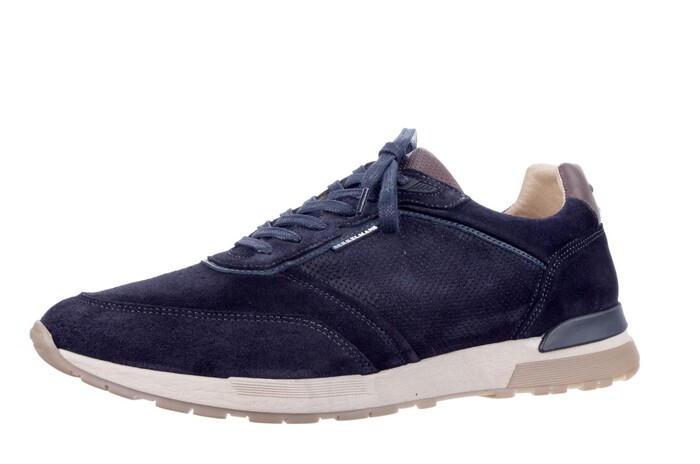 Berkelmans blauw Hondo 252023001 Bild