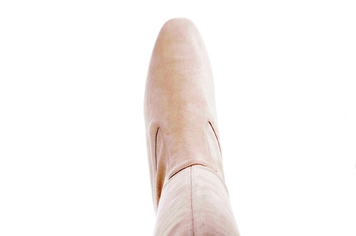 PieSanto camel 255275 Bild