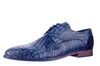 SEBRING  BERKELMANS  BLAUW thumbnail