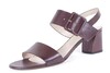 56710 FAUSTO BRUIN thumbnail