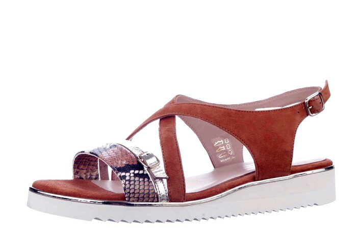 7.42.26 SOFTWAVES COGNAC Bild