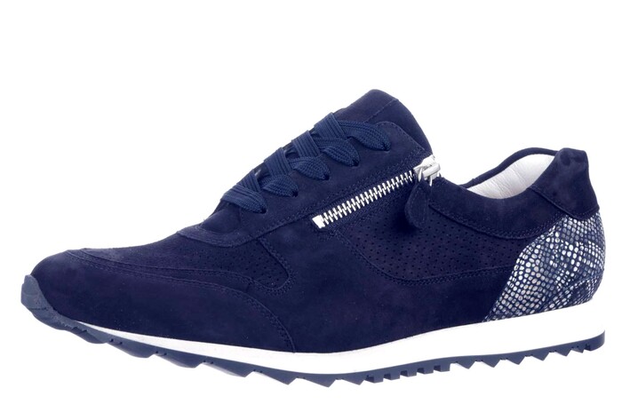 301917 HASSIA BLAUW. Bild