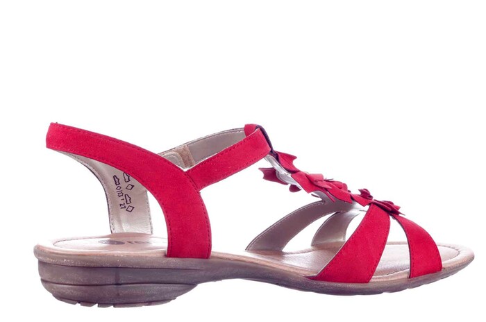 R3659.33 REMONTE ROOD Bild