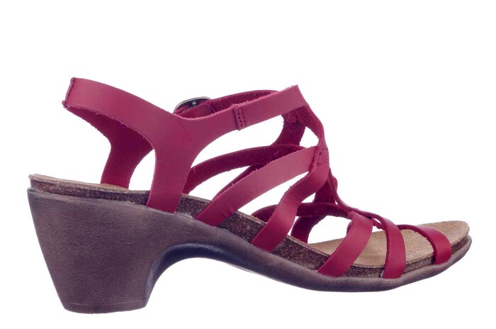 52863 LOINTS ROOD Bild