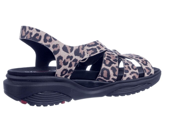 RHODOS XSENSIBLE BEIGE PANTER Bild