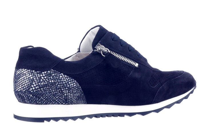 301917 HASSIA BLAUW. Bild