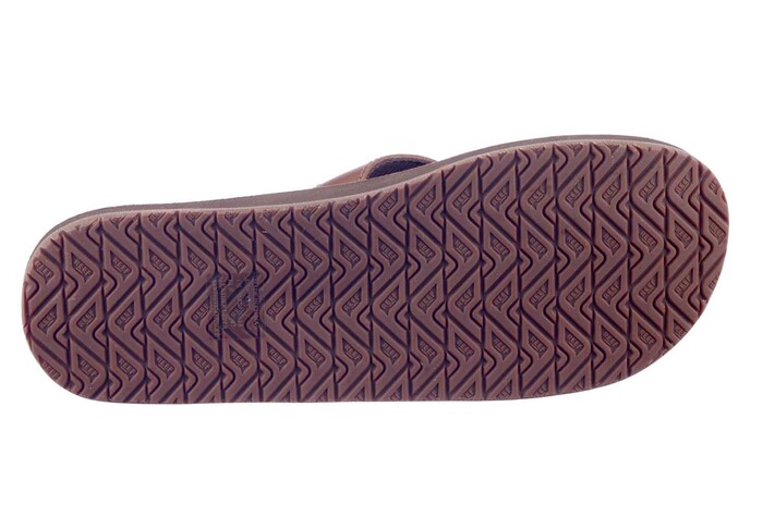 RF00232 REEF BRUIN Bild