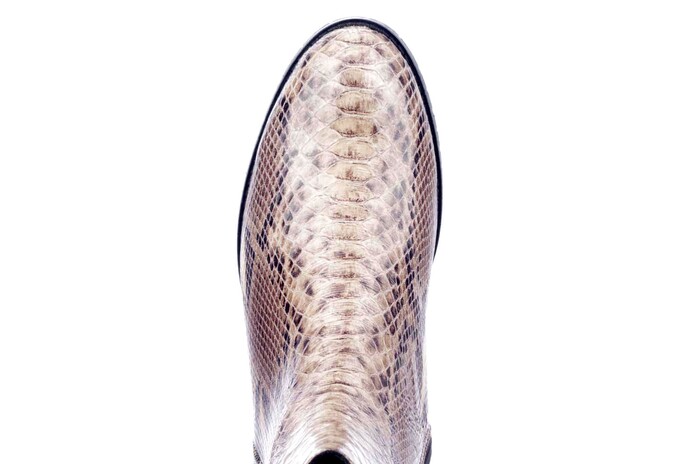 947 BABOOS  CAMEL PYTHON Bild