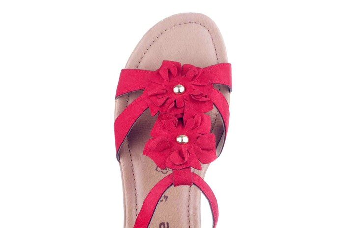 R3659.33 REMONTE ROOD Bild