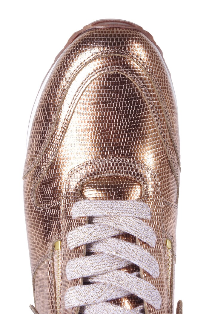 330.1915 HASSIA ROZE/GOUD Bild