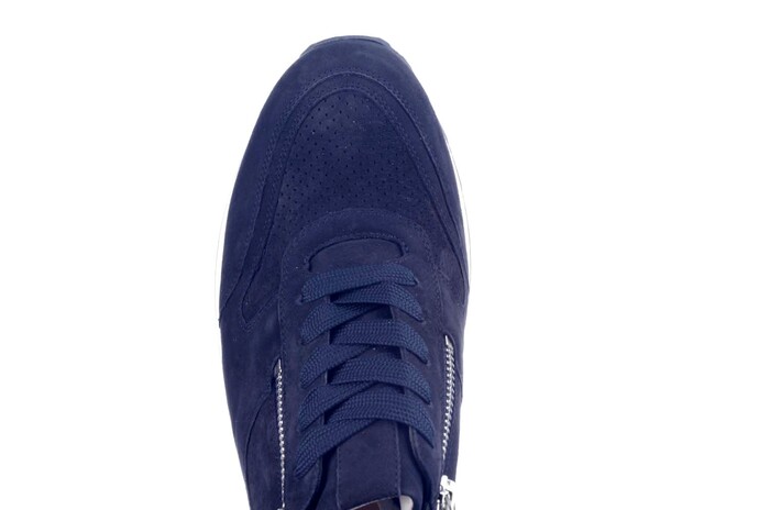 301917 HASSIA BLAUW. Bild