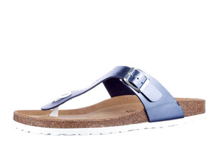 6108-703 Cosmos blauw