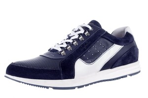 GREGORY  AUSTRALIAN BLAUW