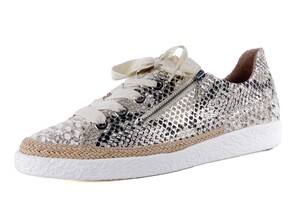 7.01.03 SOFTWAVES PYTHON BEIGE